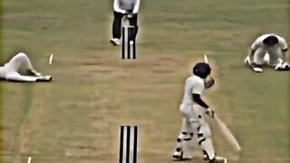 Please sb bhai follow karoo