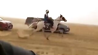 Horse  recing
