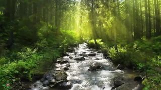 Beauty of nature