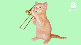 Cats habits