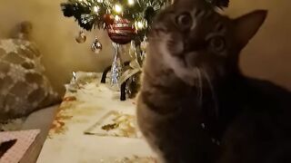 Where my christmas present bro!!