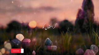Zindagi Kaisi guzarni chahye #muftitaeikmasood