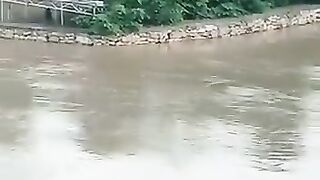 Raining  Fled
