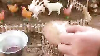 Best village life food ||old dream life happy.