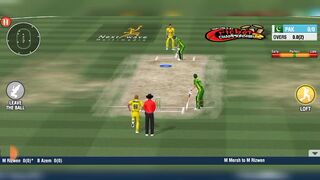 Game official cricket match