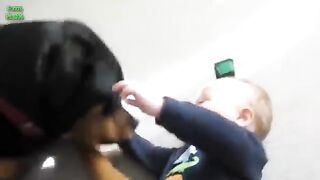 Funny_Babies_Laughing_Hysterically_at_Dogs_Compilation