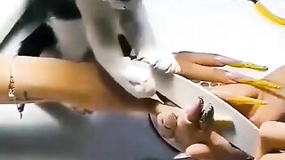 Funny cat cute