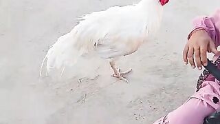 White going to eat
