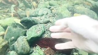 Under water valuable things