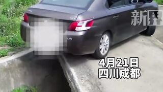 Driver being both wholesome and skillful