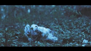 PAPERS N19 - First Look Trailer