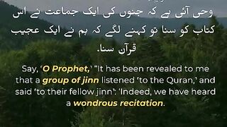 Surah Al-Jinn - Verse- 01 - 07 #quran