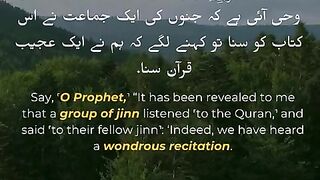 Surah Al-Jinn - Verse- 01 - 07 #quran