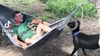 Best video