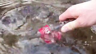 Совет по выживанию в лесу