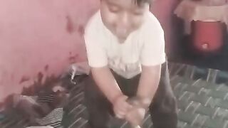 Pet cat