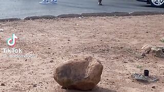 South Africa vlogs entertainment