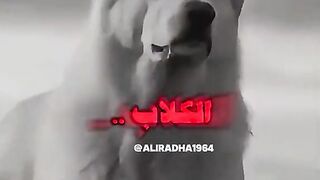ينشئ مدون الفيديو هذا مقاطع فيديو رائعة! تعال وشاهد!    https://k.kwai.com/u/@Md6090/v7QikmCx