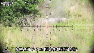 100% accuracy sharpshooter, sniper gun hunting elk.