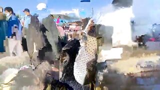 أجي تعرف ثمن الأكباش في السوق المغربي