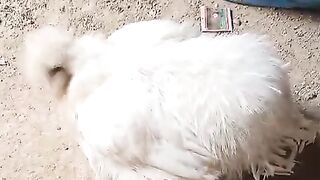 In the mud