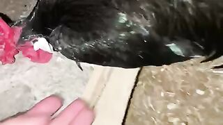Dfhjjj