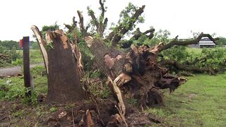 Tornados touch down in Texas and four other states