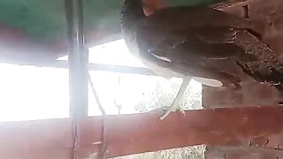 Ghkkgjkllvcx