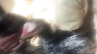 Wetyuiofhj