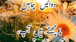 "زندگی کی رازداری: دل کی قصہ"