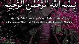 Khoobsoorat phool