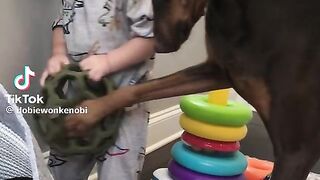 Kids and dog funny