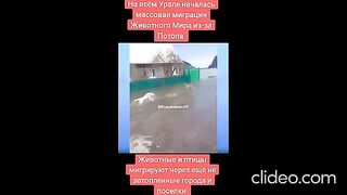 ВОДНИЯТ АД В РУСИЯ ПРОДЪЛЖАВА