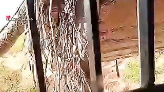 Creepy snake