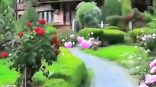 status,status video,status song,status whatsap,beast song,good song,video,songs