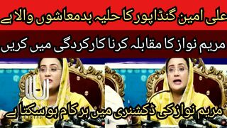 Ali Amin Gandapur's language and style is that of bullies... If you want to fight Maryam Nawaz, then do it in performance.