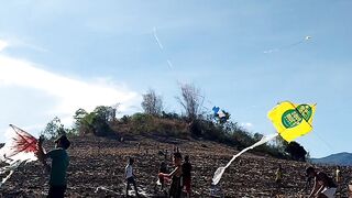 Kite Flying Contest