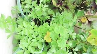 Understanding the Hidden Riches of Nature