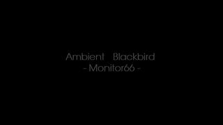 Monitor 66 - Ambient Blackbird (Original Mix) HQ