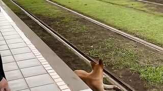 Train