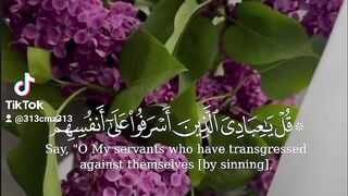Qur'an