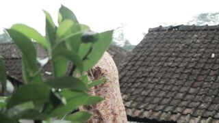 Exploring the Beauty of the Countryside
