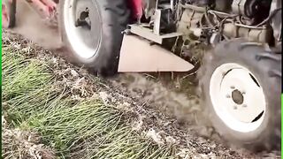 Satisfying Car Wash