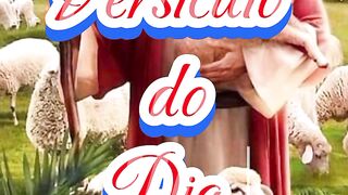 Versículo do Dia.
