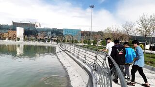 نمایشگاه