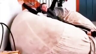funny animals video #shortvideo #shorts
