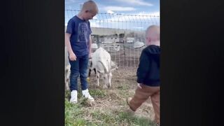Best funny videos compilation ????????