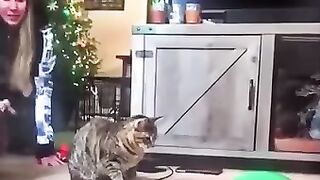 Try not to laugh 6❤️