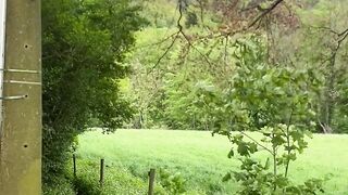 “Nature’s Bliss: Exploring Serene Landscapes with Delight”