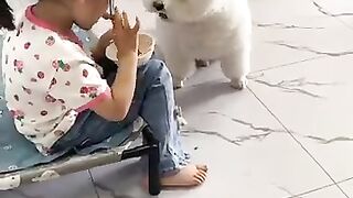Cute dog and baby